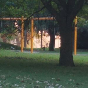 Meet your Posher, Raquel